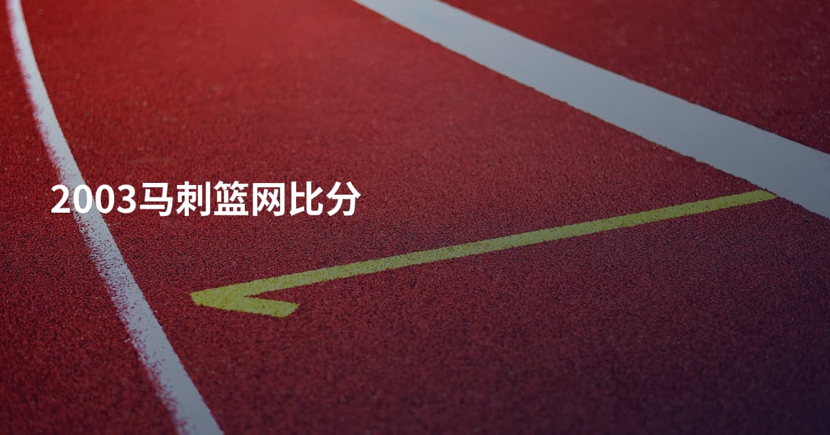 2003马刺篮网比分