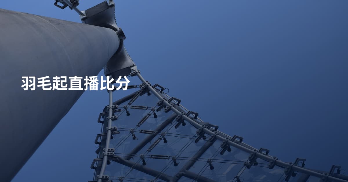 羽毛起直播比分