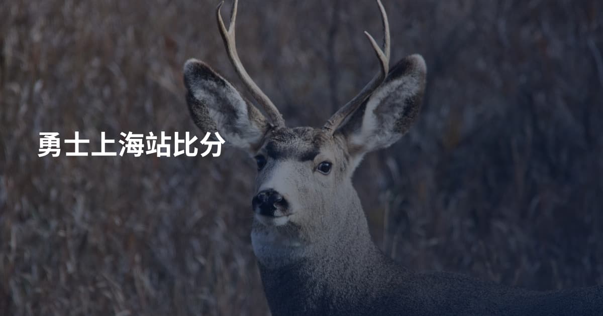 勇士上海站比分