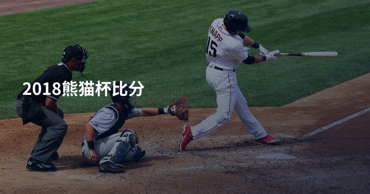 2018熊猫杯比分