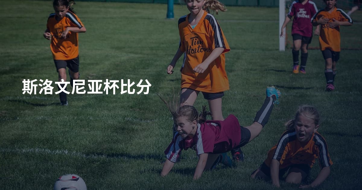 斯洛文尼亚杯比分