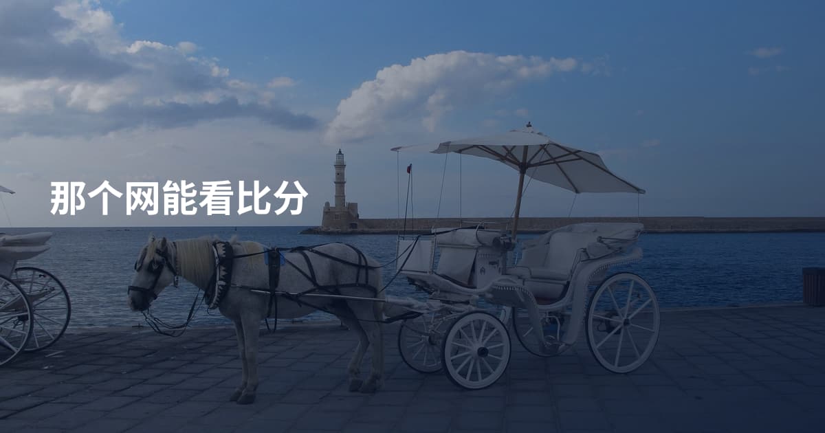 那个网能看比分