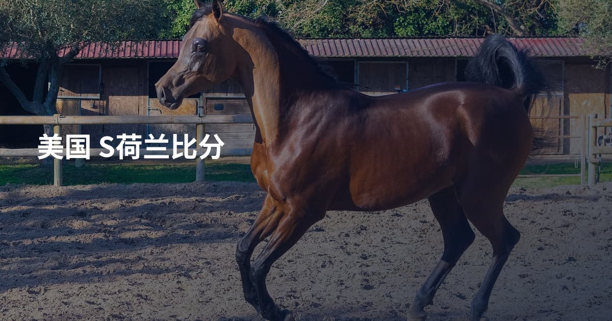 美国 S荷兰比分