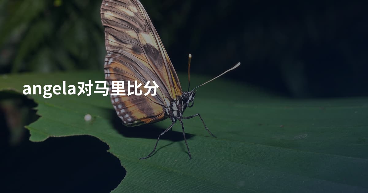 angela对马里比分