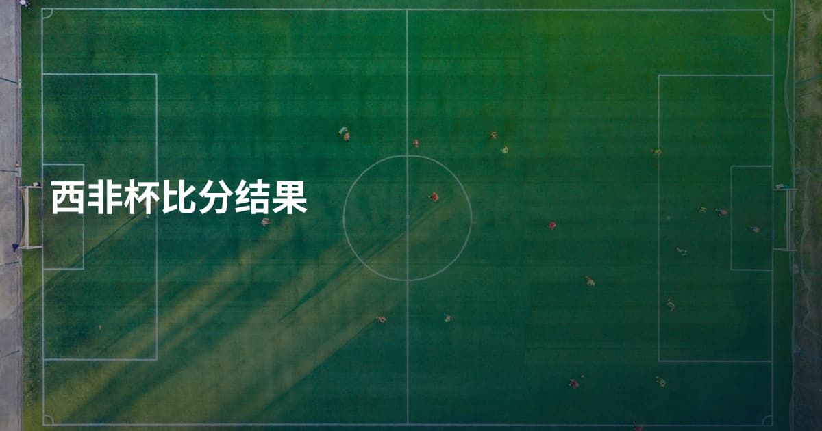 西非杯比分结果