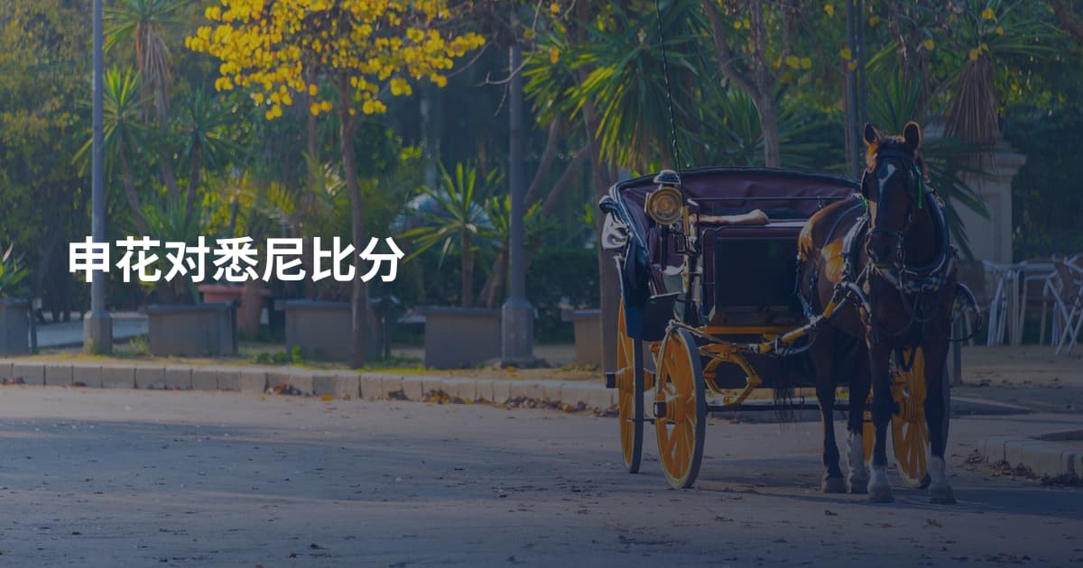 申花对悉尼比分