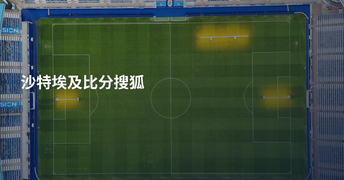 沙特埃及比分搜狐