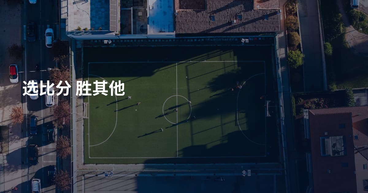 选比分 胜其他