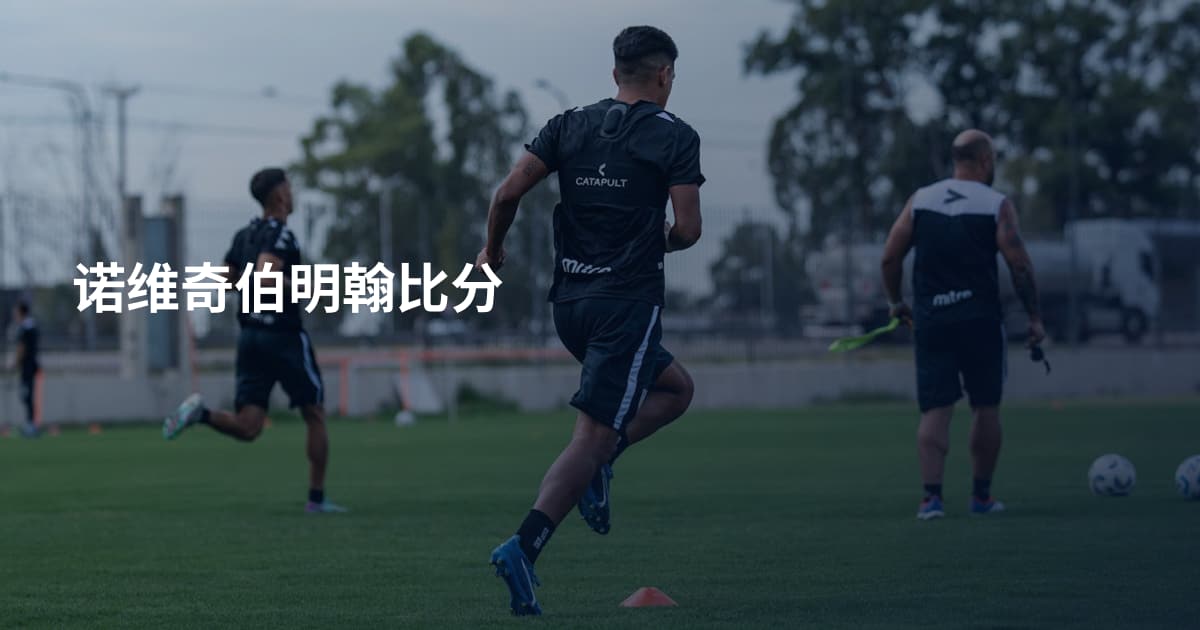诺维奇伯明翰比分