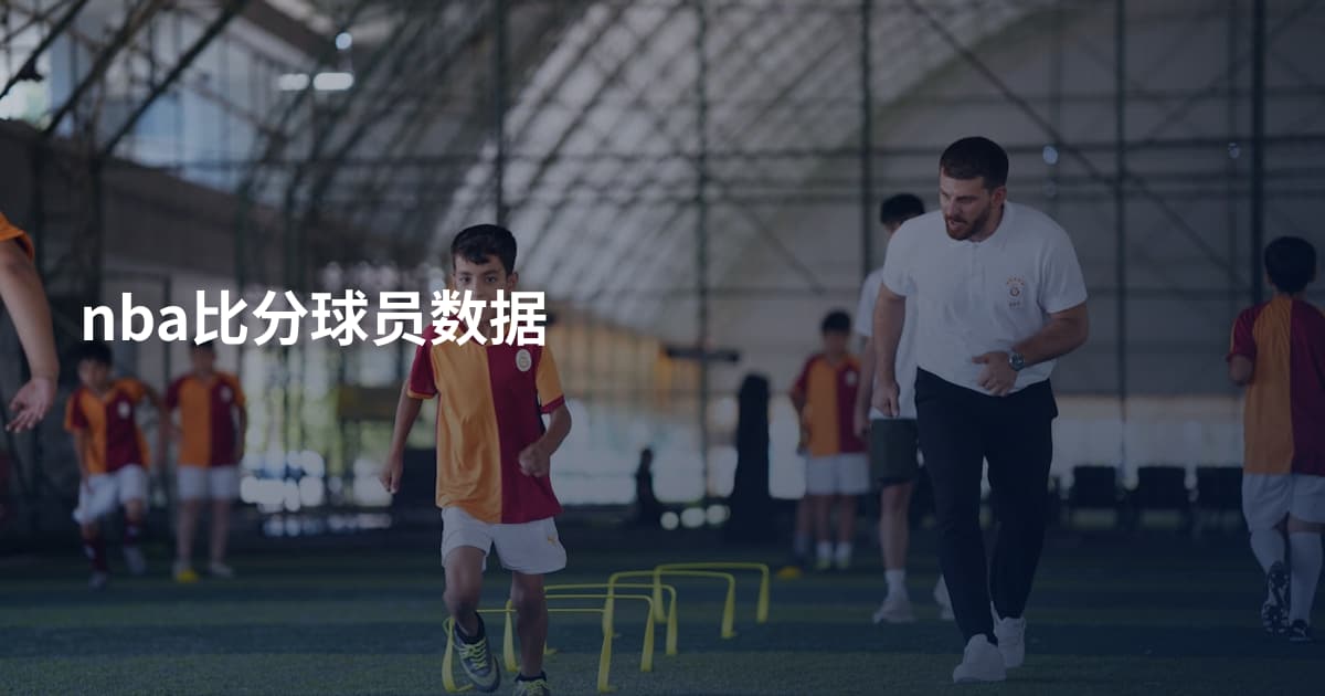 nba比分球员数据