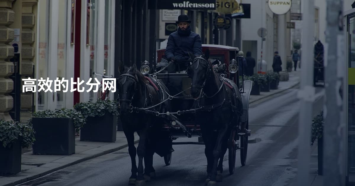 高效的比分网