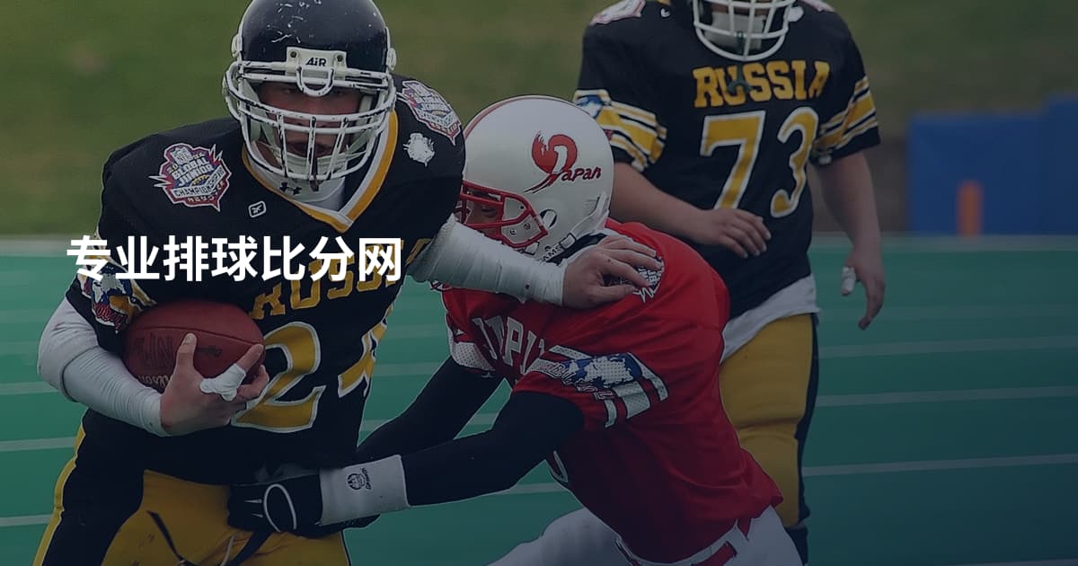 专业排球比分网