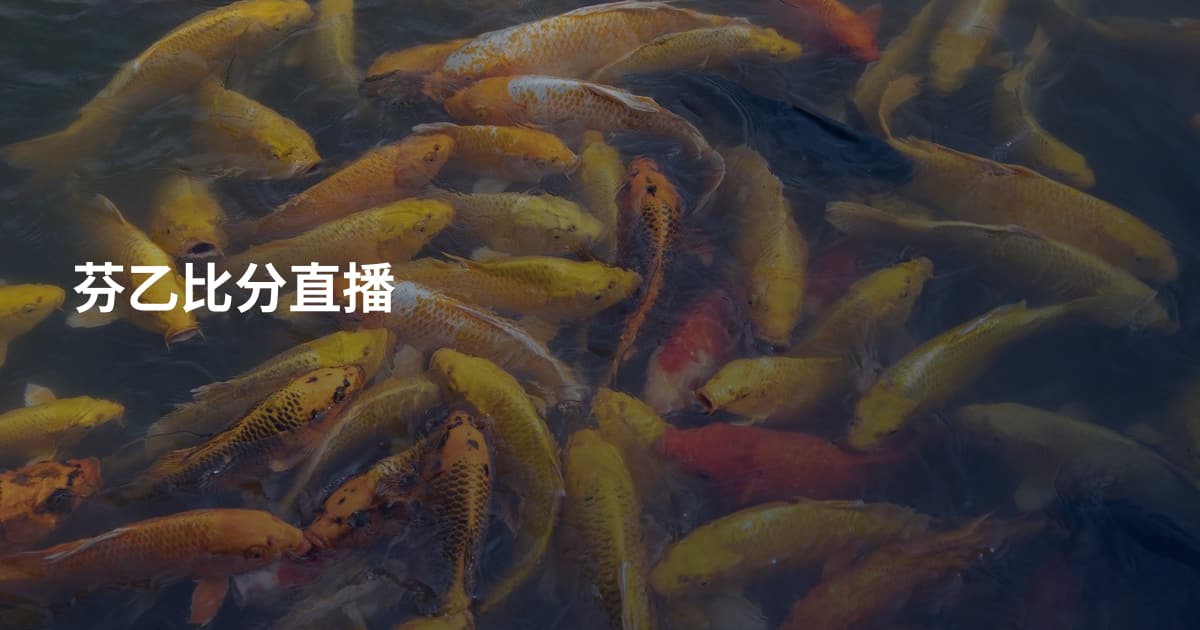 芬乙比分直播