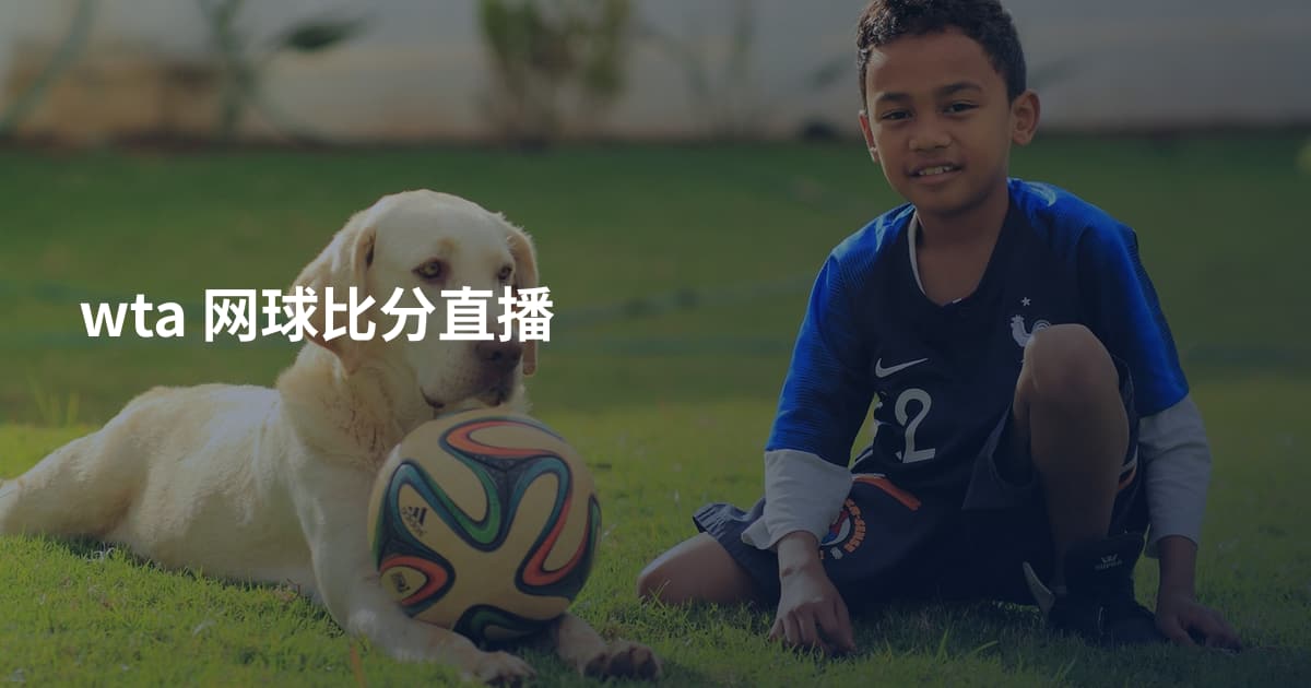 wta 网球比分直播