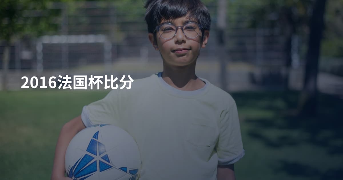 2016法国杯比分