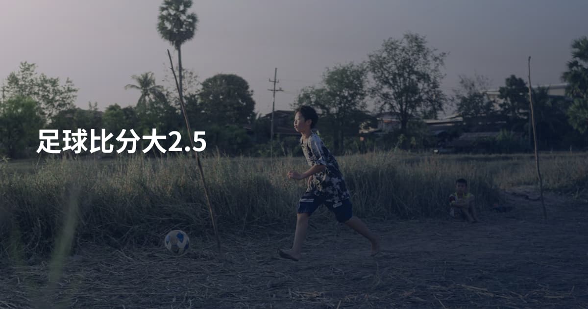 足球比分大2.5