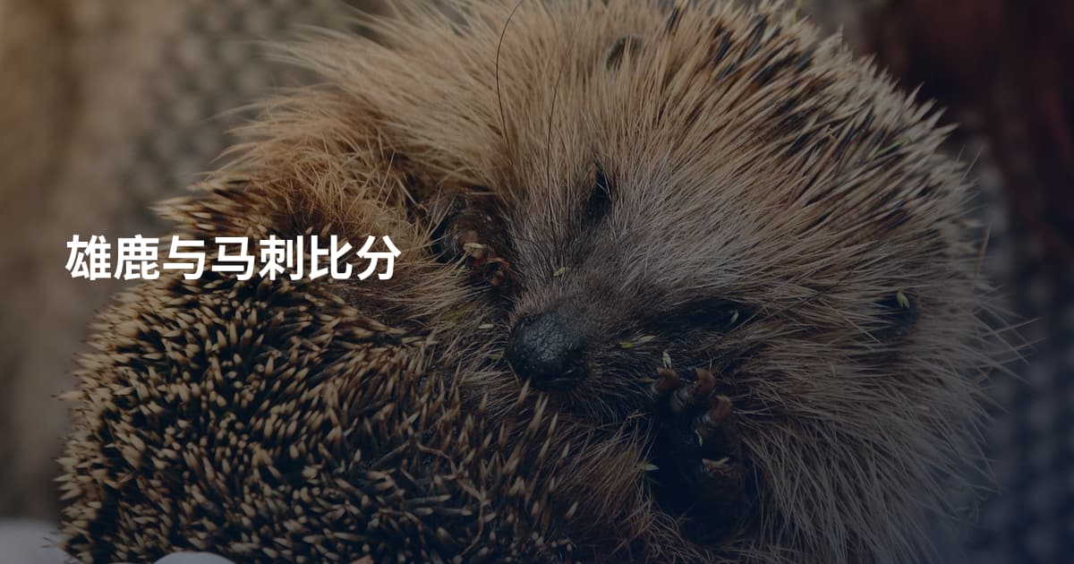雄鹿与马刺比分