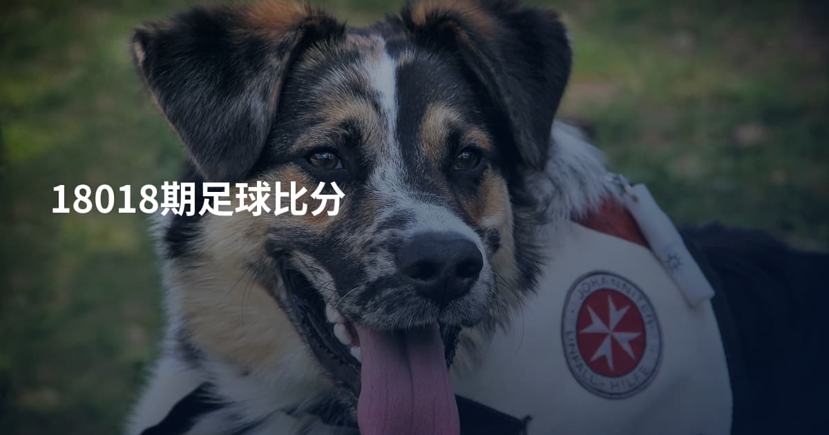 18018期足球比分