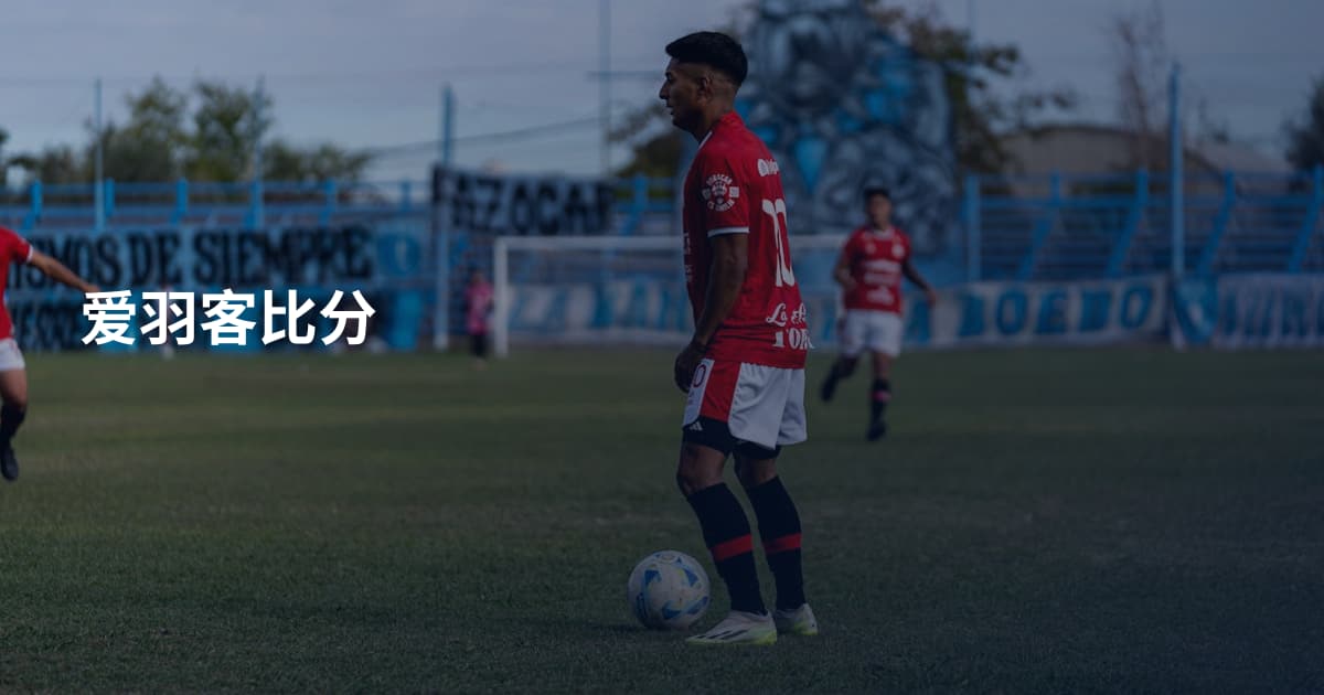 爱羽客比分