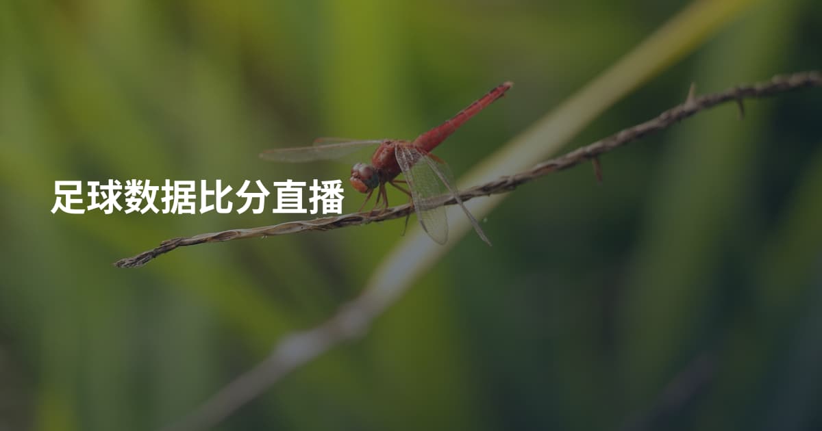 足球数据比分直播