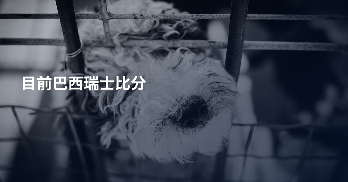 目前巴西瑞士比分