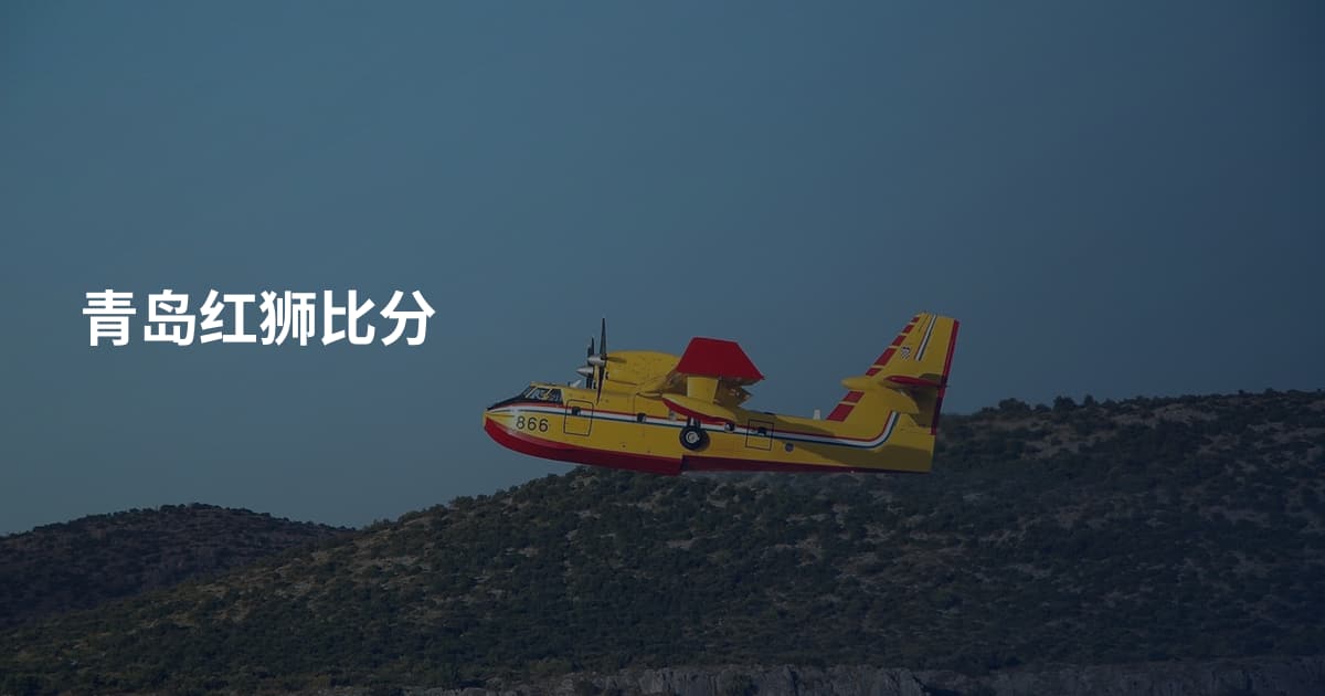青岛红狮比分