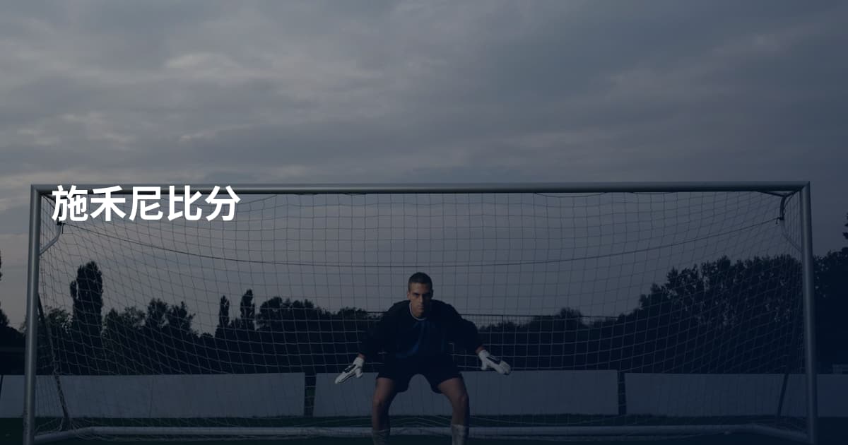 施禾尼比分