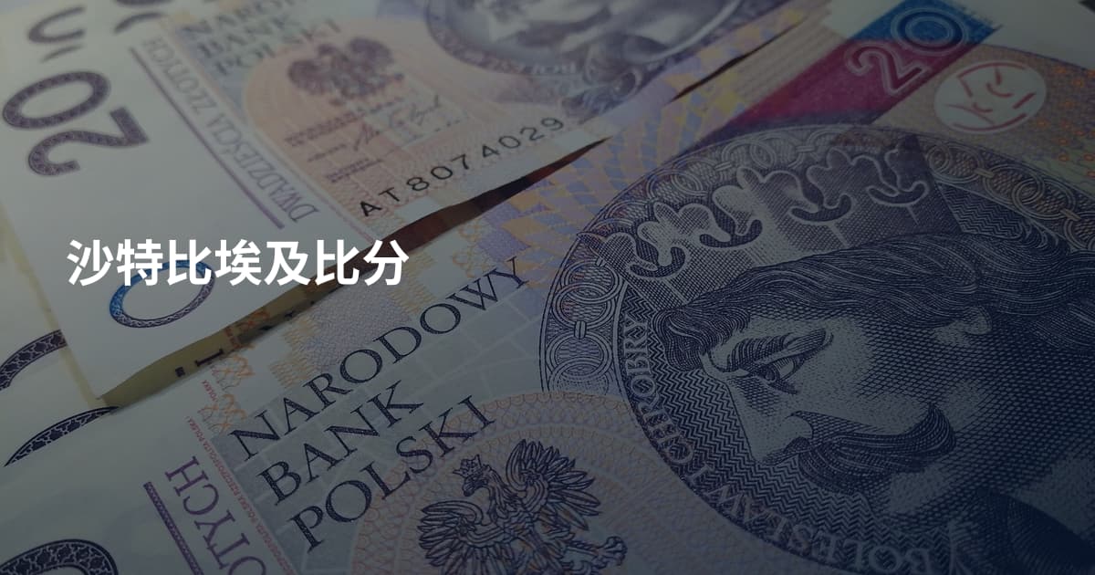 沙特比埃及比分