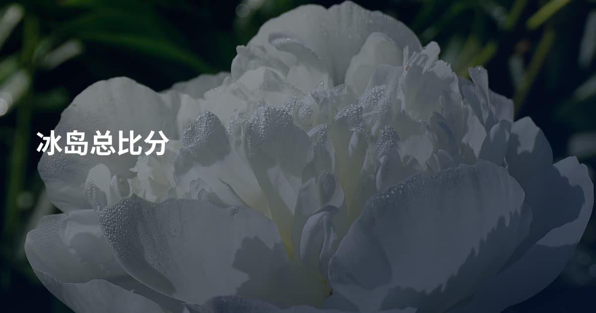 冰岛总比分