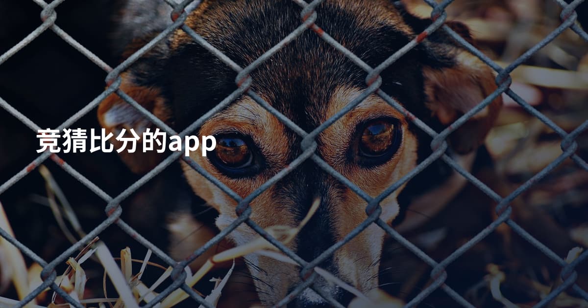 竞猜比分的app