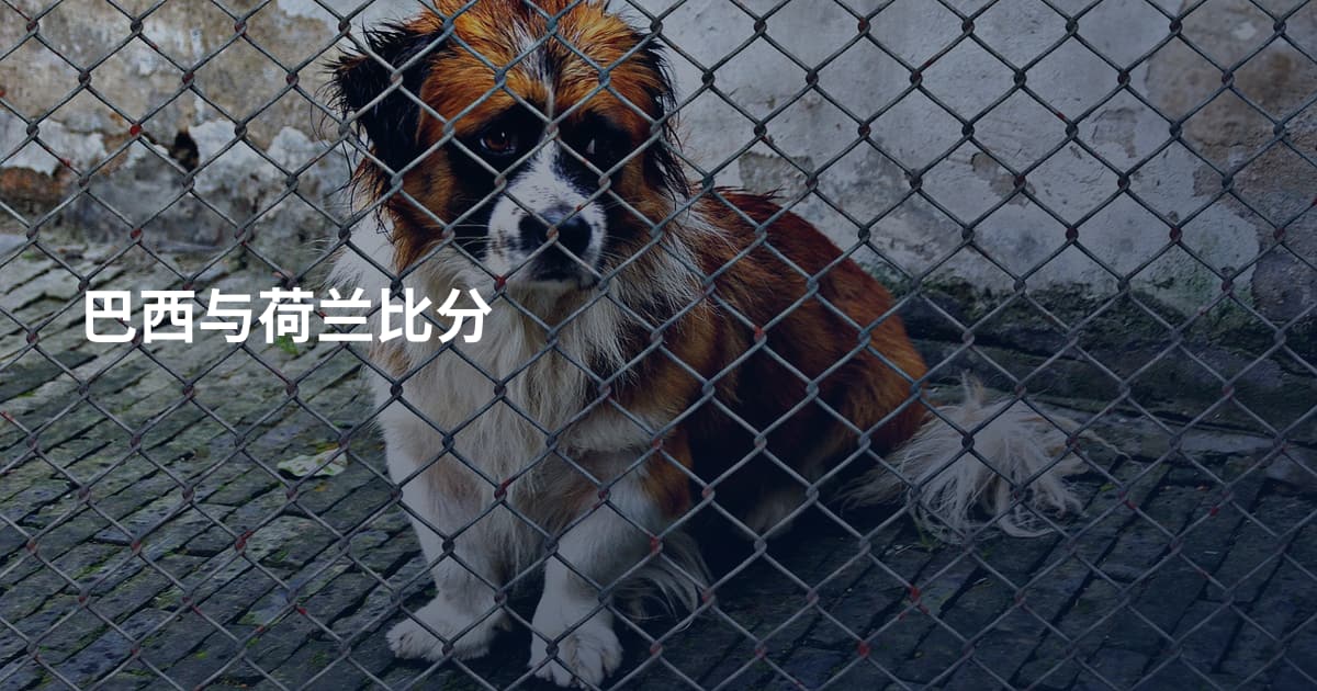 巴西与荷兰比分