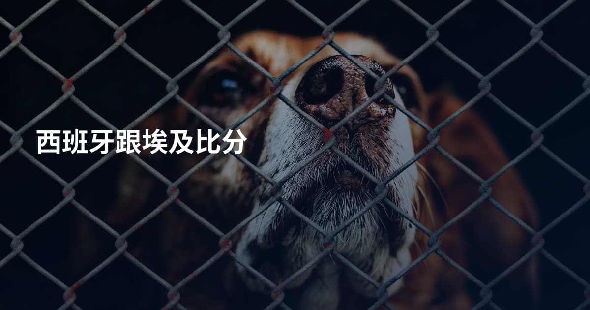 西班牙跟埃及比分