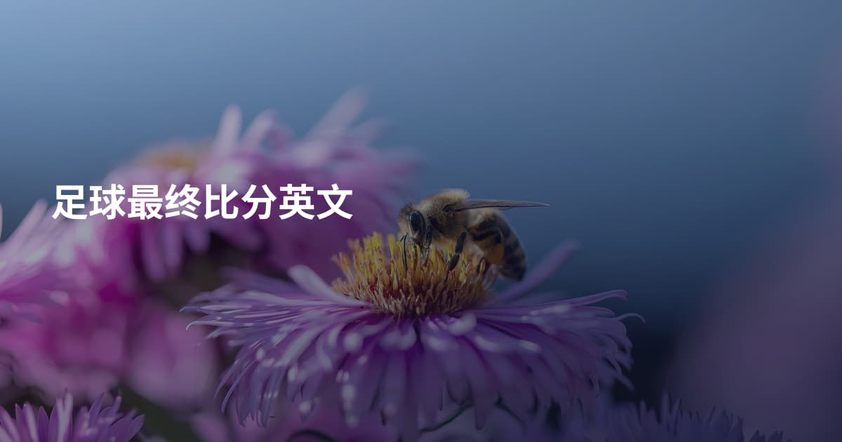 足球最终比分英文