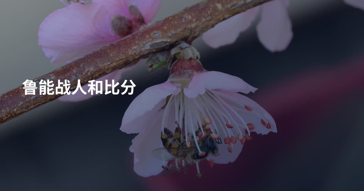 鲁能战人和比分