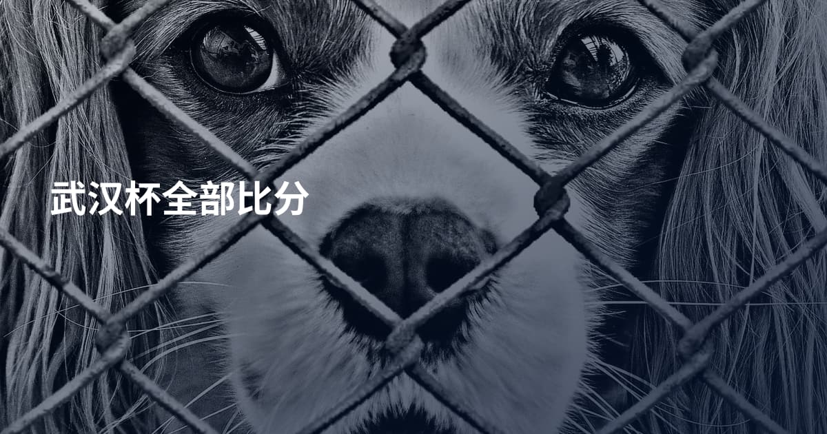 武汉杯全部比分