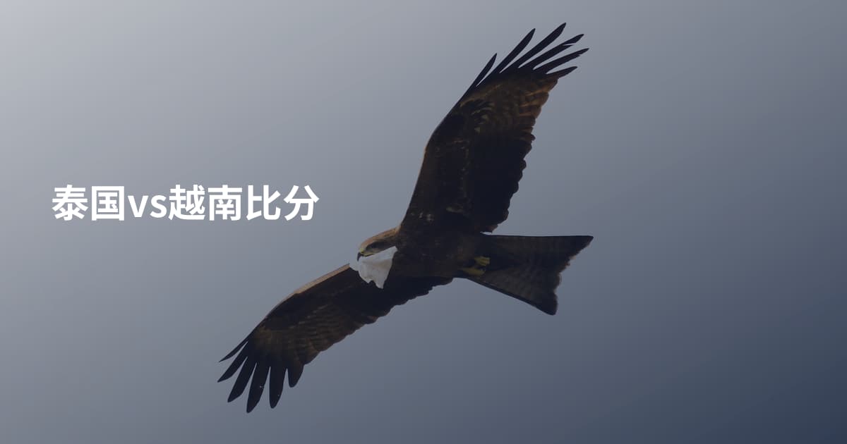 泰国vs越南比分