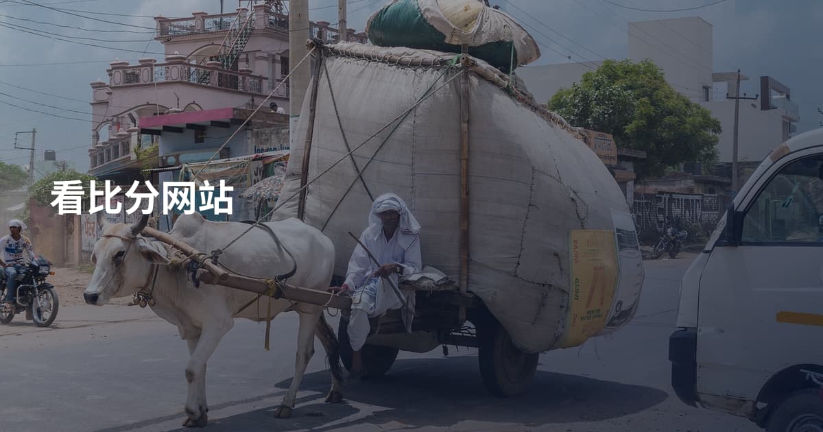 看比分网站