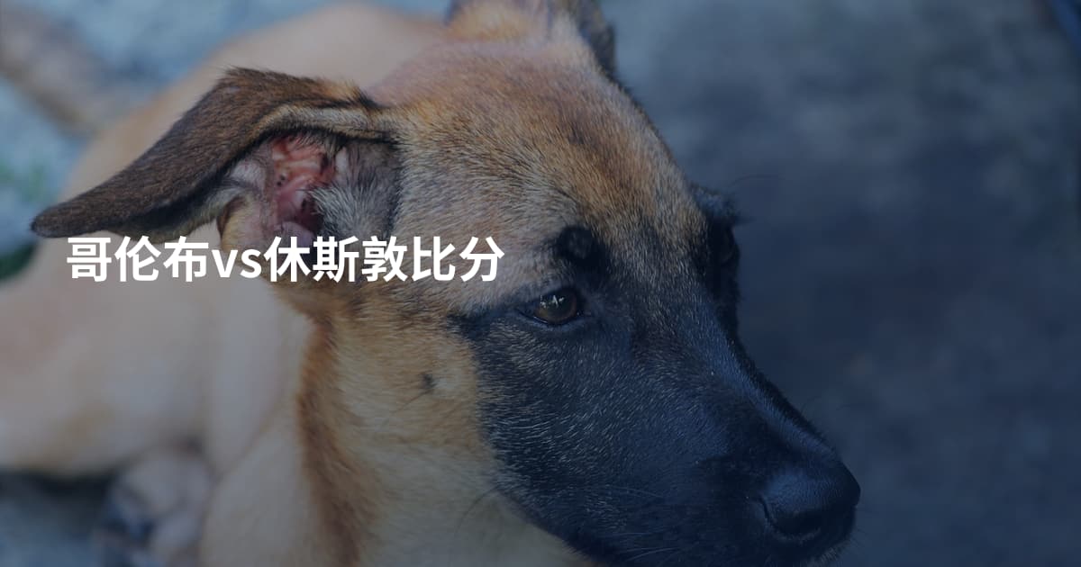 哥伦布vs休斯敦比分