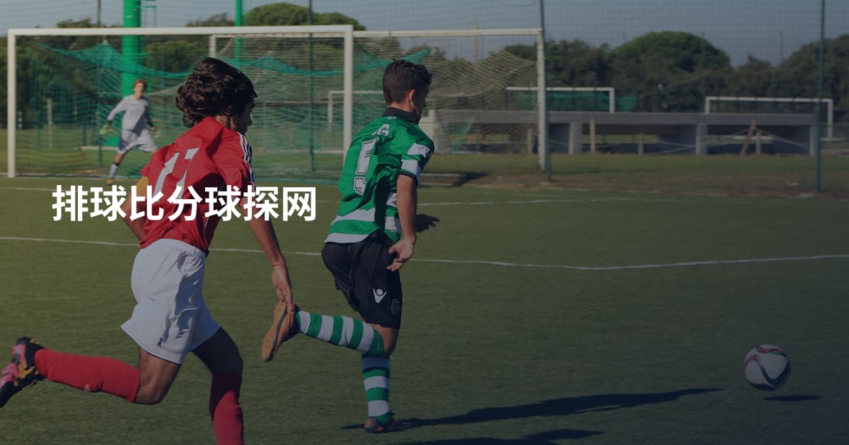 排球比分球探网