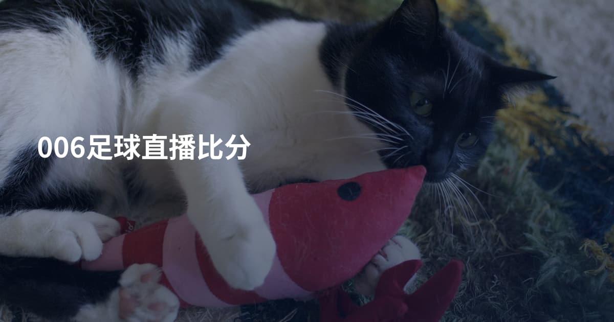 006足球直播比分
