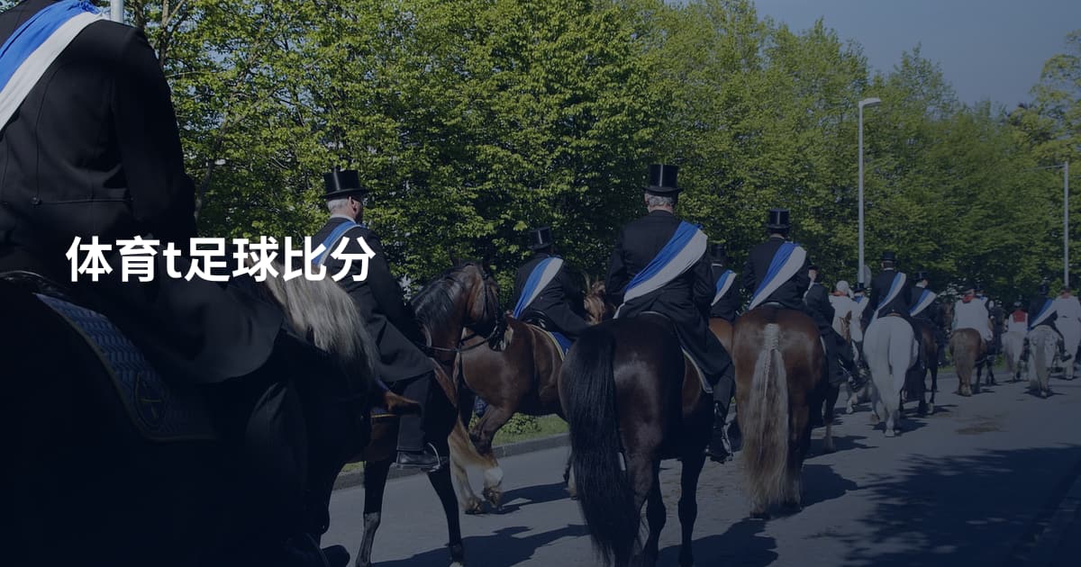 体育t足球比分