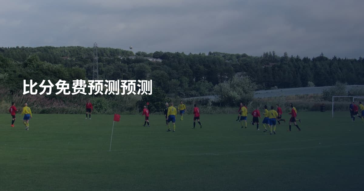 比分免费预测预测
