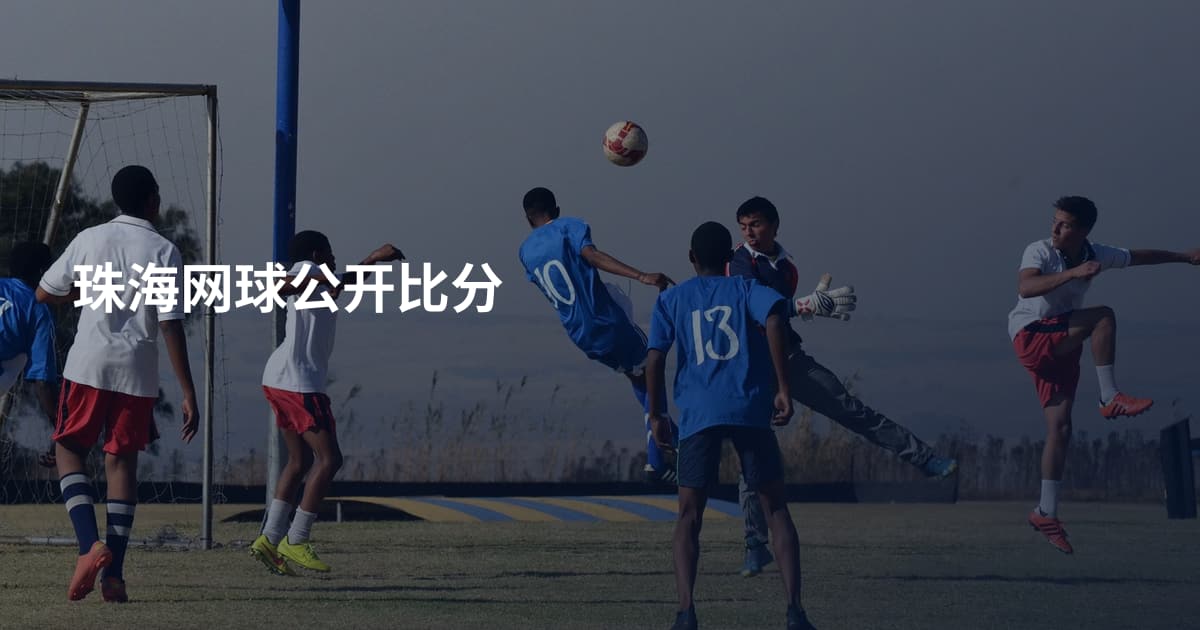 珠海网球公开比分