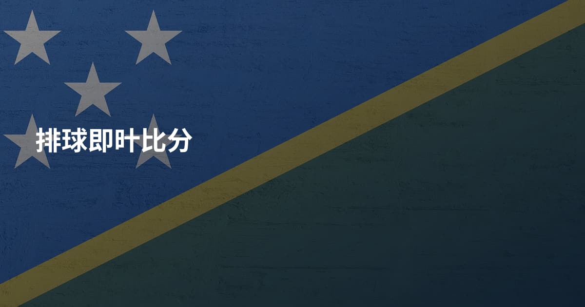 排球即旪比分
