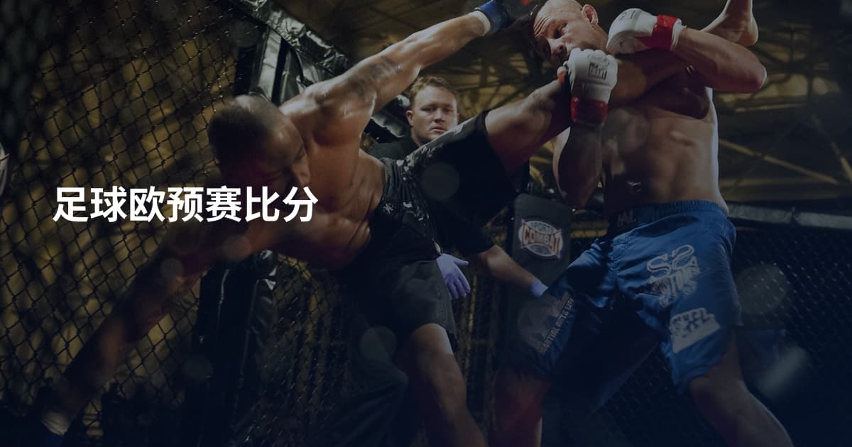足球欧预赛比分