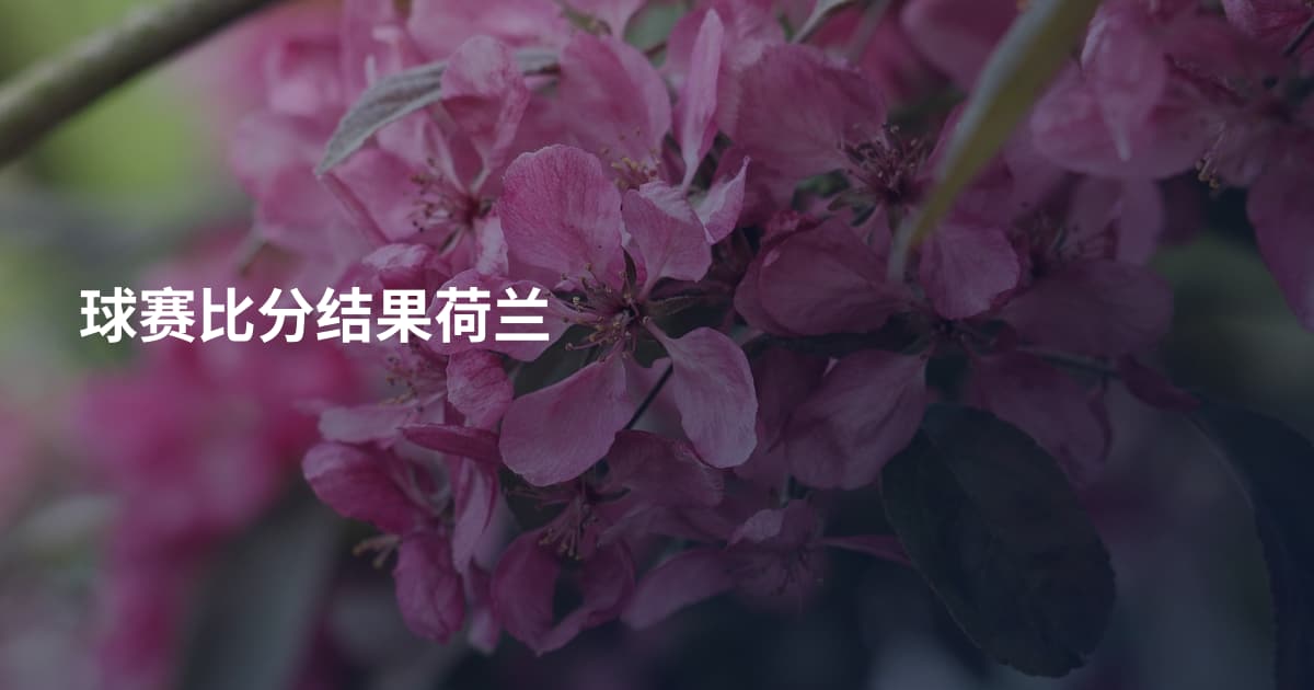 球赛比分结果荷兰