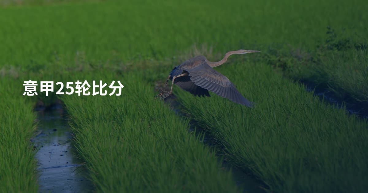 意甲25轮比分