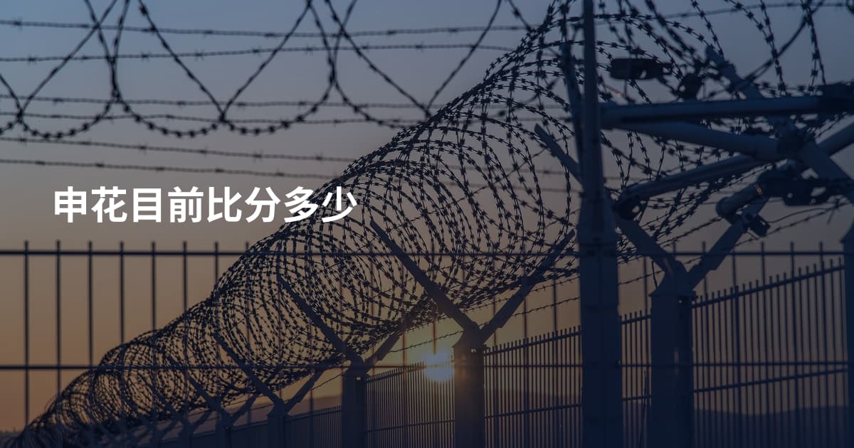申花目前比分多少
