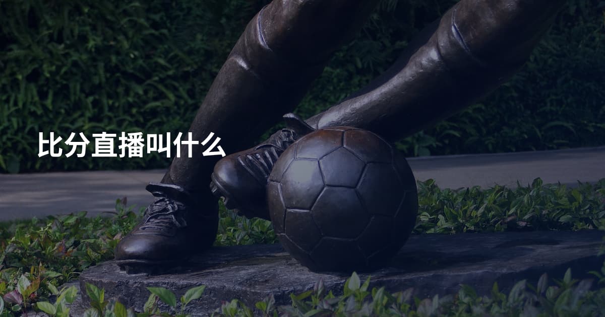 比分直播叫什么