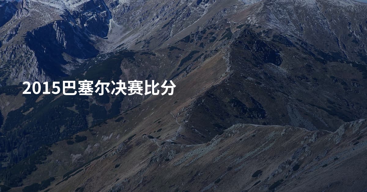 2015巴塞尔决赛比分
